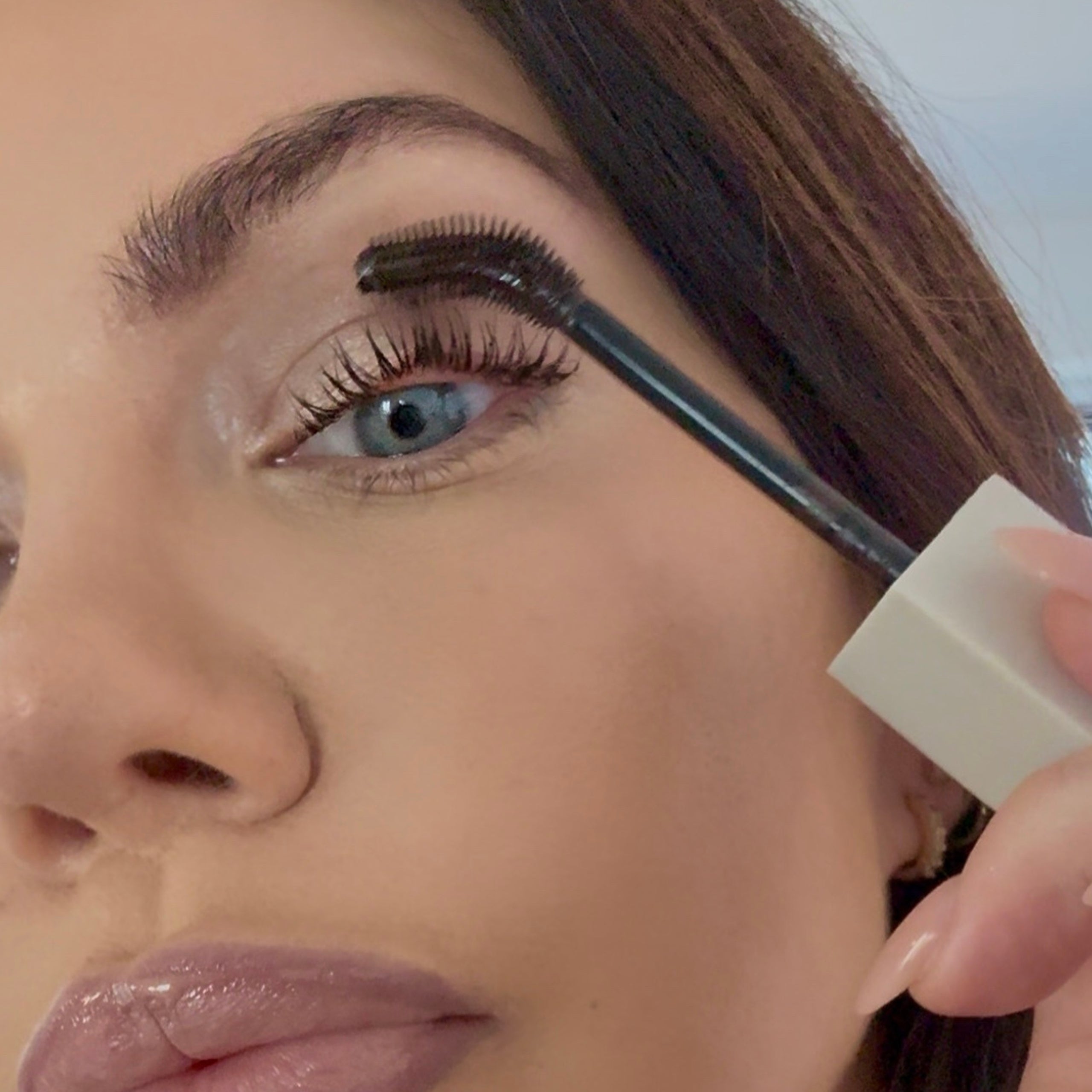 The Essentials Set (Pre-Order)